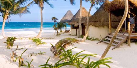 La Zebra de Tulum Beach