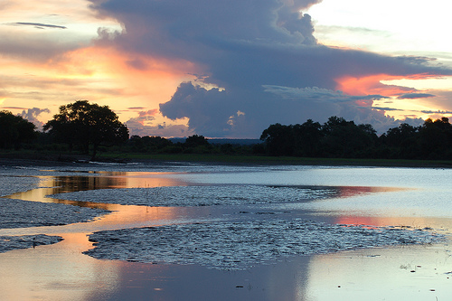 Luangwa Luangwa