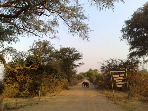 Luangwa Luangwa