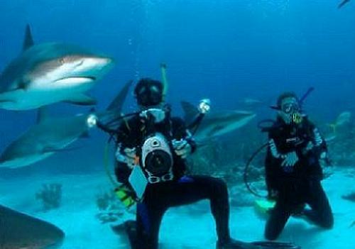 Buceo en las Islas Caiman Buceo en las Islas Caiman
