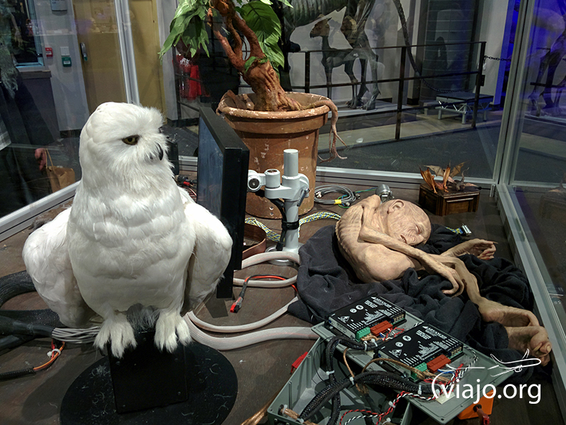 Hedwig el ave de Harry Potter