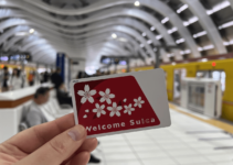 Tarjetas IC en Japón: Guía Definitiva para Moverte y Pagar como un Local